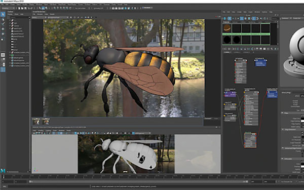 Maya có thể mô phỏng hoá 3D