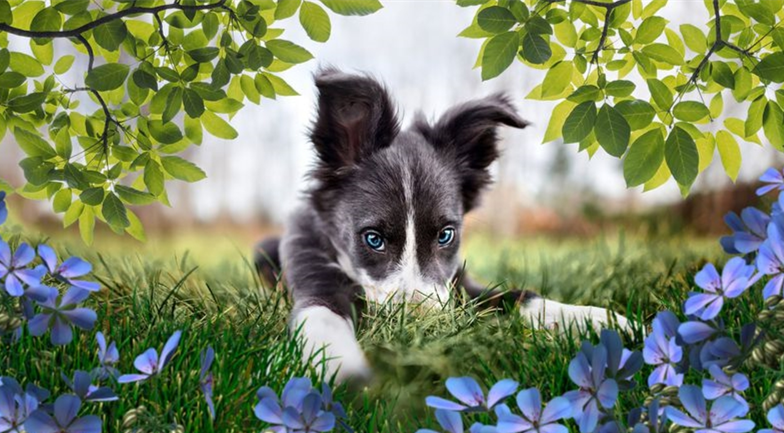 Tăng hiệu ứng độ sâu cho hình ảnh